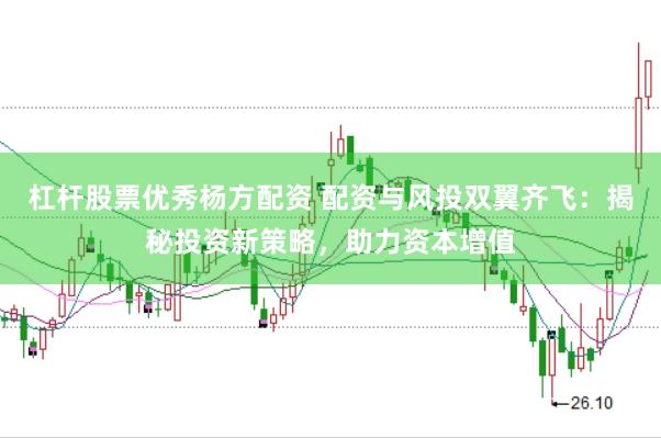 杠杆股票优秀杨方配资 配资与风投双翼齐飞：揭秘投资新策略，助力资本增值