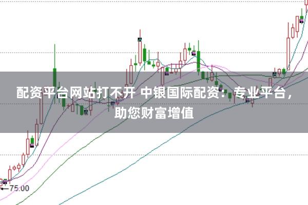 配资平台网站打不开 中银国际配资：专业平台，助您财富增值