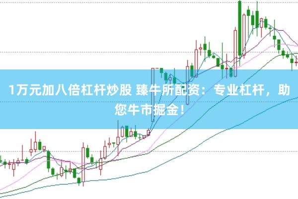 1万元加八倍杠杆炒股 臻牛所配资：专业杠杆，助您牛市掘金！