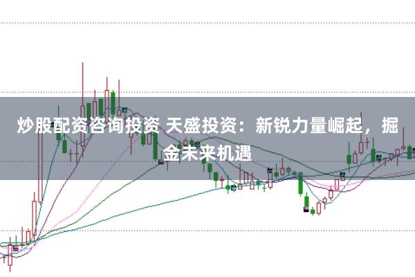 炒股配资咨询投资 天盛投资：新锐力量崛起，掘金未来机遇
