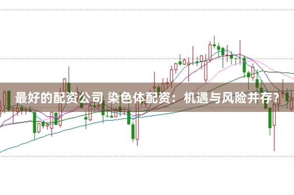 最好的配资公司 染色体配资：机遇与风险并存？