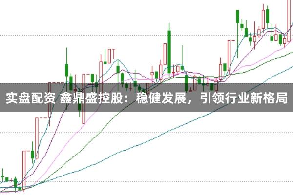 实盘配资 鑫鼎盛控股：稳健发展，引领行业新格局