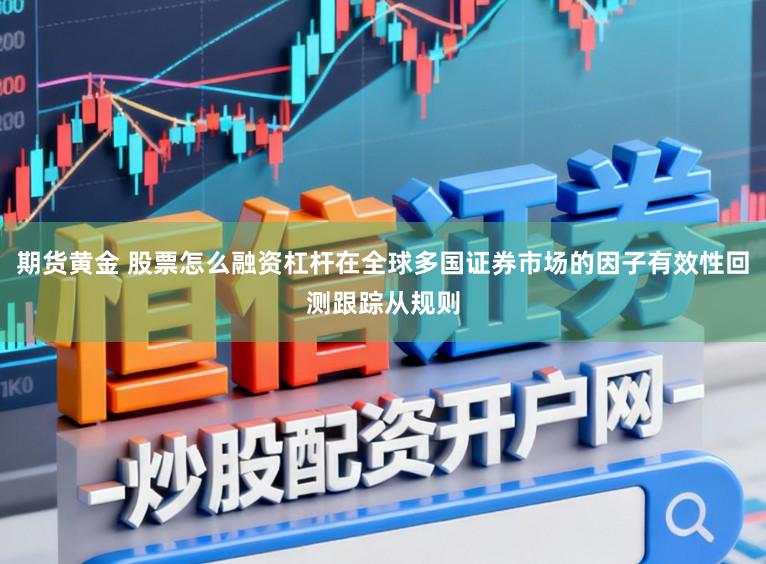 期货黄金 股票怎么融资杠杆在全球多国证券市场的因子有效性回测跟踪从规则