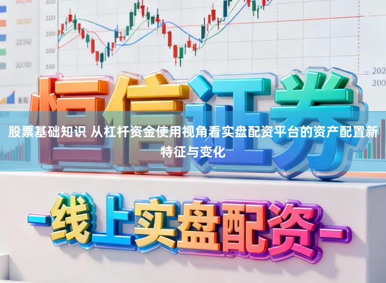 股票基础知识 从杠杆资金使用视角看实盘配资平台的资产配置新特征与变化